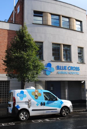 Our hospitals